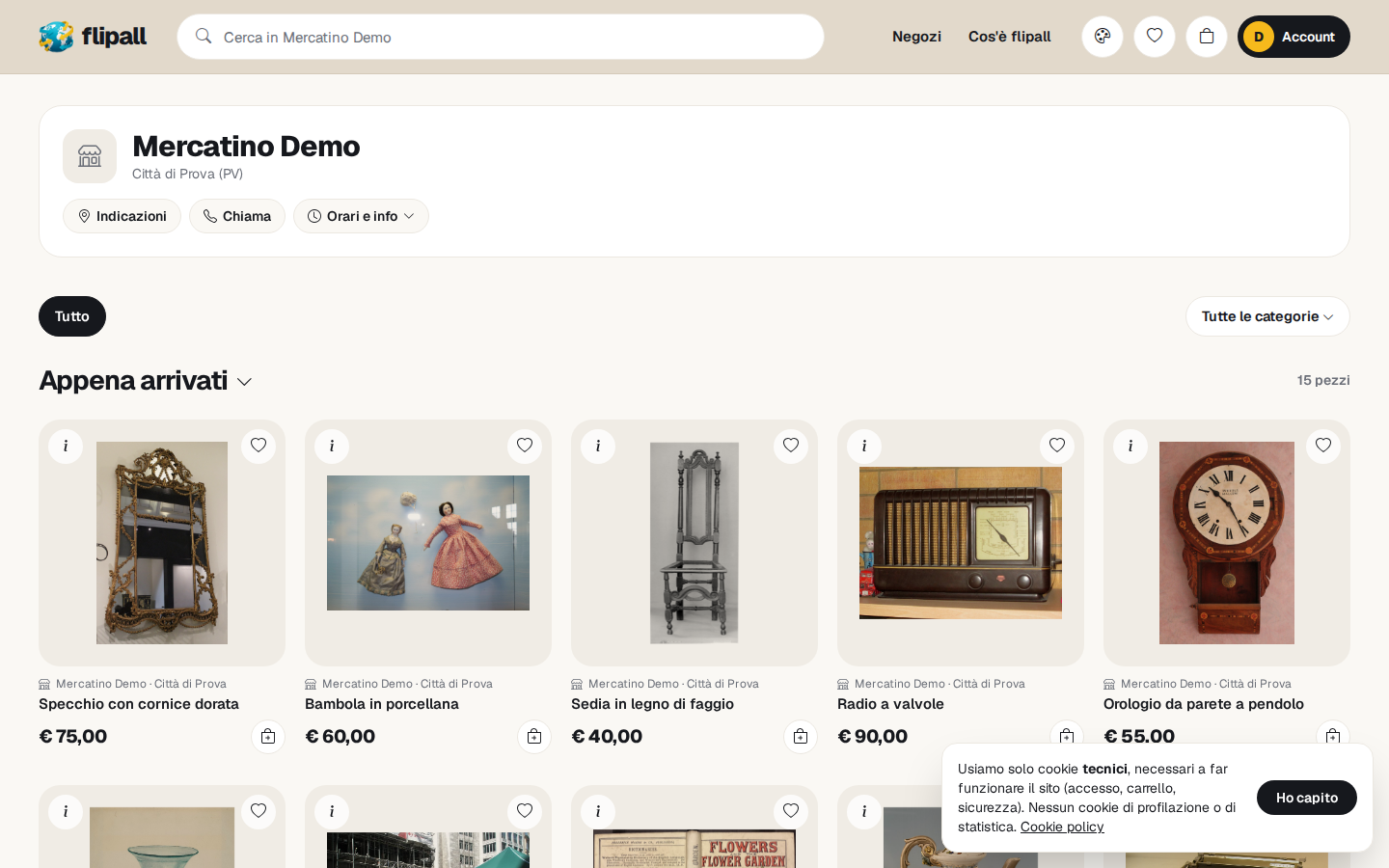 Il negozio online: gli articoli in vendita, come li vede il cliente.